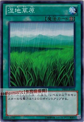 DE02-JP144　LODT-JP054 溼地草原　日文普卡